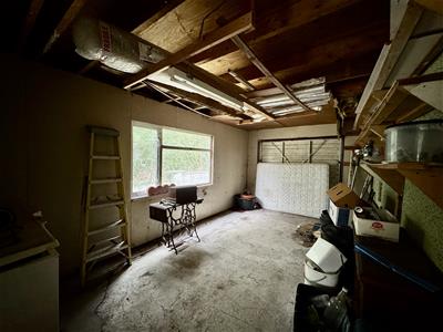 Picture 23